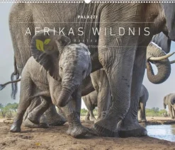 teNeues Calendars & Stationery GmbH & Co. KG Posterkalender*Palazzi - Hautnah - Afrikas Wildnis 2026 - Wandkalender 60×50 cm mit 12 Tierfotografien, Poster-Kalender mit Wildtieren & humorvollen Bildunterschriften