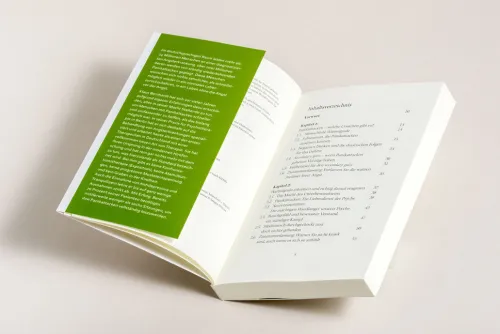 Ariston Verlag Gesellschaft-Panikattacken und andere Angststörungen loswerden