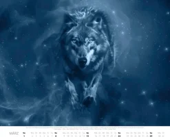 Patronus Kalender für Potterheads 2026 XXL-Wandkalender*Heel Verlag GmbH Hot
