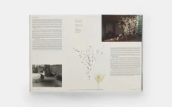 Paul Cocksedge*Phaidon Verlag GmbH Clearance