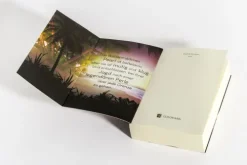 Goldmann Verlag Abenteuerromane-Pearl. Königin der Meere