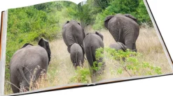 Tipp 4 Bildbände-Perle Afrikas