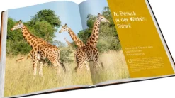 Tipp 4 Bildbände-Perle Afrikas