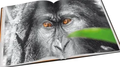 Tipp 4 Bildbände-Perle Afrikas