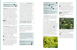 Permakultur auf dem Balkon*YUNA Discount