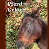 Pferd und Gehölz*STARKE PFERDE-Verlag Online