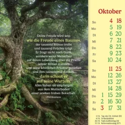 Kawohl Postkartenkalender*Phil Bosmans Postkartenkalender 2026