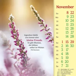 Kawohl Postkartenkalender*Phil Bosmans Postkartenkalender 2026