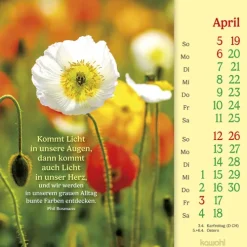 Kawohl Postkartenkalender*Phil Bosmans Postkartenkalender 2026