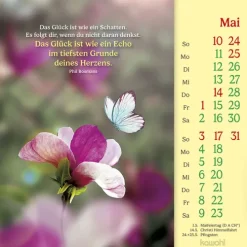 Kawohl Postkartenkalender*Phil Bosmans Postkartenkalender 2026