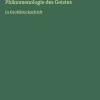 Antigonos Verlag Großdruck-Phänomenologie des Geistes