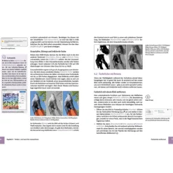 BILDNER Verlag Technik|Informatik & Edv-Photoshop Elements 2025 - Das umfangreiche Praxisbuch