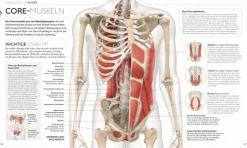 Pilates - Die Anatomie verstehen*Dorling Kindersley Verlag Hot