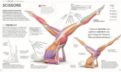 Pilates - Die Anatomie verstehen*Dorling Kindersley Verlag Hot