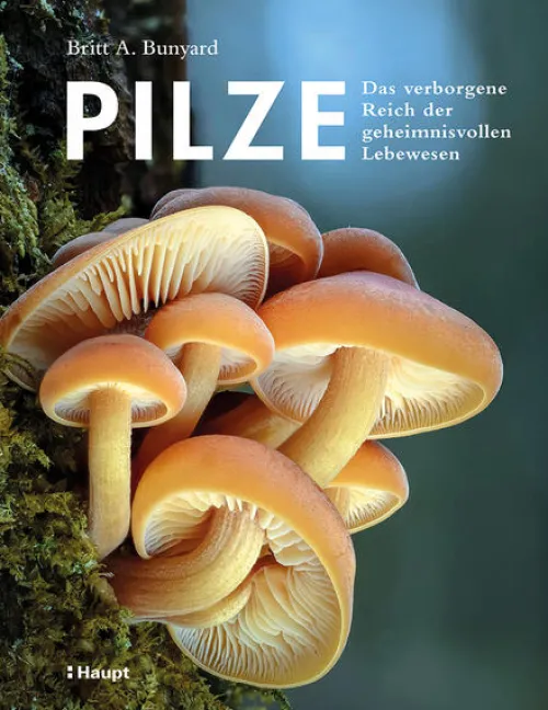 Pilze*Haupt Verlag AG Outlet