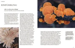 Pilze*Haupt Verlag AG Outlet