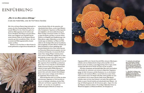 Pilze*Haupt Verlag AG Outlet