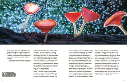 Pilze*Haupt Verlag AG Outlet