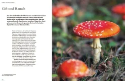 Pilze*Haupt Verlag AG Outlet