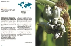 Pilze*Haupt Verlag AG Outlet