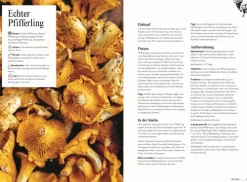 Pilze. Das Kochbuch*Dorling Kindersley Verlag Clearance