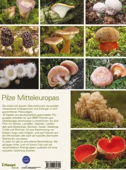Haupt Verlag AG Biologie-Pilze Mitteleuropas