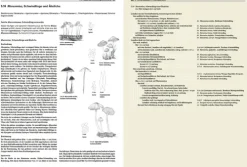 Haupt Verlag AG Biologie-Pilze Mitteleuropas