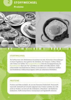 Klett Lerntraining Abi Trainer·Biologie*PONS Abi-Check XXL Biologie