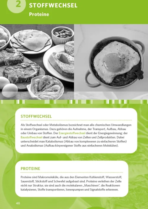 Klett Lerntraining Abi Trainer·Biologie*PONS Abi-Check XXL Biologie