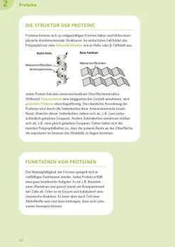 Klett Lerntraining Abi Trainer·Biologie*PONS Abi-Check XXL Biologie