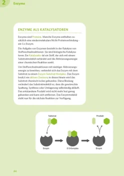 Klett Lerntraining Abi Trainer·Biologie*PONS Abi-Check XXL Biologie