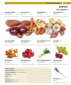 PONS Bildwörterbuch Deutsch als Fremdsprache*Pons Langenscheidt GmbH Discount