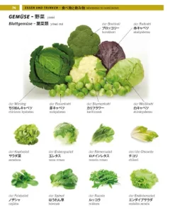 Pons Langenscheidt GmbH Lexika & Sprachen-PONS Bildwörterbuch Japanisch