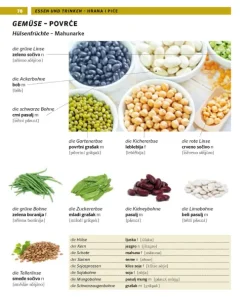 Pons Langenscheidt GmbH Lexika & Sprachen|Sachbücher-PONS Bildwörterbuch Serbisch