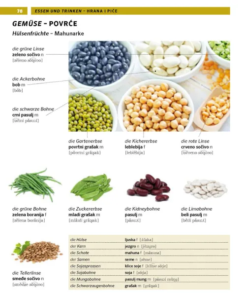 Pons Langenscheidt GmbH Lexika & Sprachen|Sachbücher-PONS Bildwörterbuch Serbisch