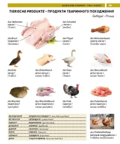 PONS Bildwörterbuch Ukrainisch*Pons Langenscheidt GmbH Hot