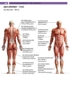 PONS Bildwörterbuch Ukrainisch*Pons Langenscheidt GmbH Hot