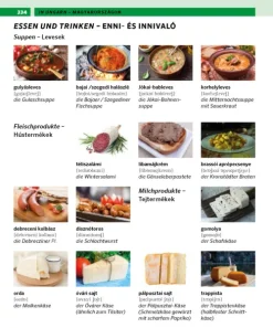 PONS Bildwörterbuch Ungarisch*Pons Langenscheidt GmbH