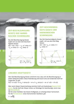 Klett Lerntraining Abi Trainer·Physik-PONS Der große Abi-Check Physik