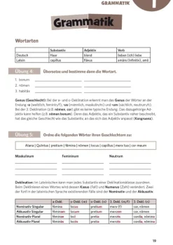 PONS Sprachlern-Comic Latein*Pons Langenscheidt GmbH Outlet