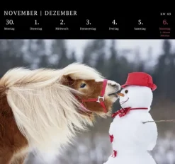 Postkartenkalender 2026: Von Pechvögeln und bunten Hunden*Pattloch Outlet