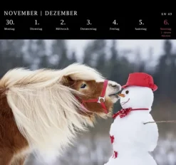 Postkartenkalender 2026: Von Pechvögeln und bunten Hunden*Pattloch Outlet