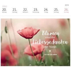 ars edition Postkartenkalender*Postkartenkalender Gartenglück 2026