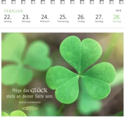 Postkartenkalender Irische Segenswünsche 2027*Ars Edition GmbH New