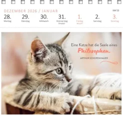 Ars Edition GmbH Geburtstagskalender*Postkartenkalender Katzenweisheiten 2027