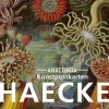 Anaconda Verlag Postkarten*Postkarten-Set Ernst Haeckel