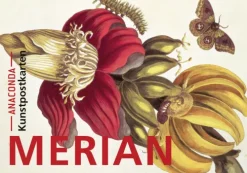 Anaconda Verlag Postkarten*Postkarten-Set Maria Sibylla Merian
