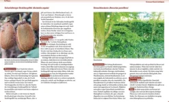 Haupt Verlag AG Umweltwissenschaft*Praxisbuch Waldgarten