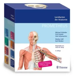 PROMETHEUS LernKarten der Anatomie*Georg Thieme Verlag Sale