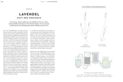 Provence. Eine Augenreise*Dorling Kindersley Reise Online